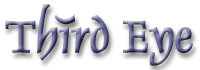 Thirdeye Solutions